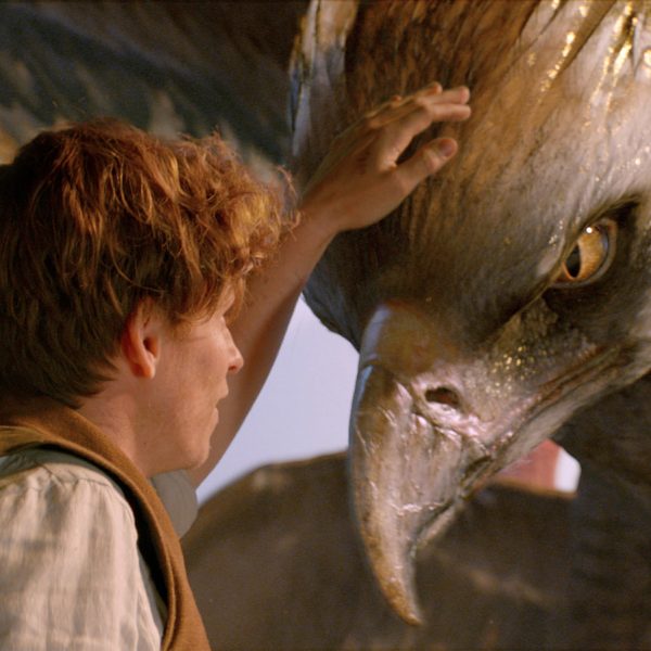 Fantastic Beasts And Where To Find Them