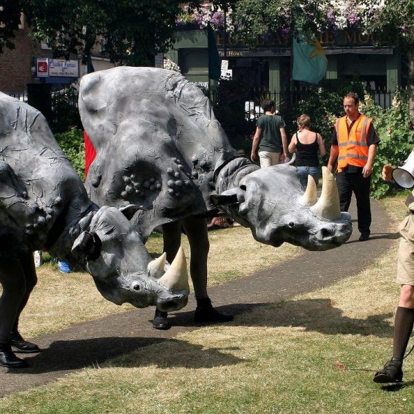 Rampaging Rhinoceros